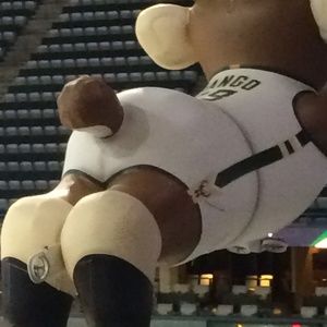 Meet your Posher, Iris